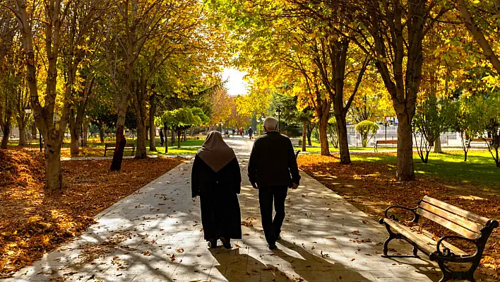 Kayseri'de Gümüş Yollar projesi başlatıldı: 65 yaş üstü vatandaşların cevapları kritik öneme sahip olacak!