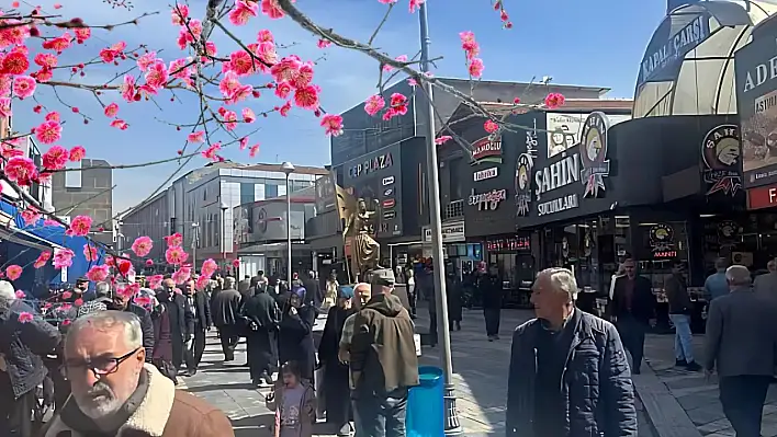 Kayseri'de Hal'den markete fiyatlar uçuyor – Adet hesabı satılıyor!
