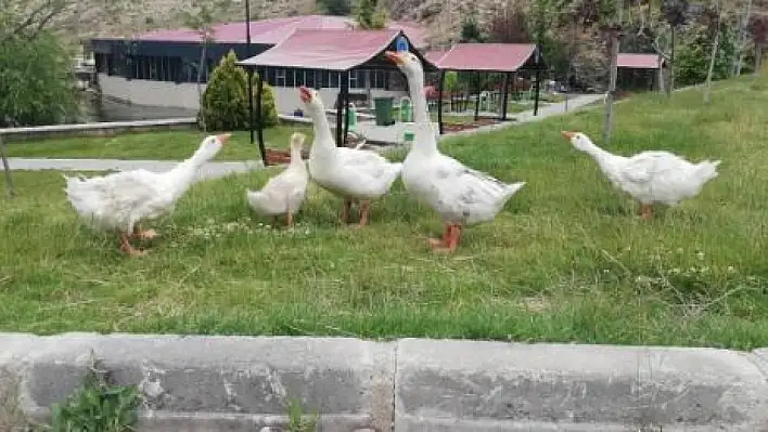 Kayseri'de Halk Günü -  Kayserililer Bu Fırsatı Kaçırmayın!