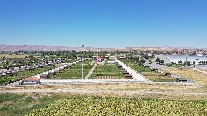 Kayseri'de her Cumartesi kuruluyor - Kayserililer çok memnun!