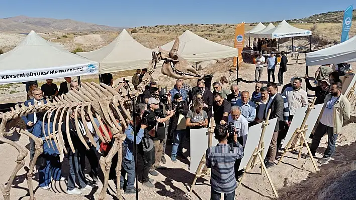 Kayseri'de heyecanlandıran gelişme - 'Yeni bir tür olabileceğini düşünüyoruz'