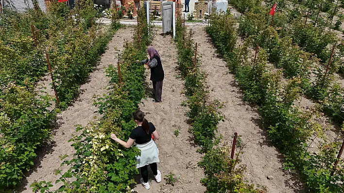 Kayseri'de hobi olarak başladığı işte şimdi talebe yetişemiyor!