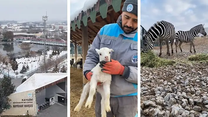 Kayseri'de içimizi ısıtan görüntüler-Bu kış hiçbiri üşümeyecek