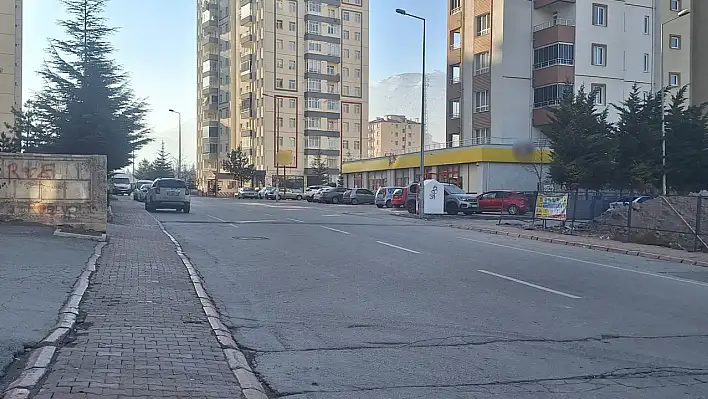 Kayseri'de kendini sevdirerek yiyecek koparıyor!