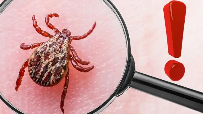 Kayseri'de kene haritası değişti: 2010'dan bu yana…