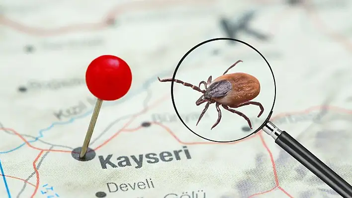 Kayseri'de kene sessizliği!