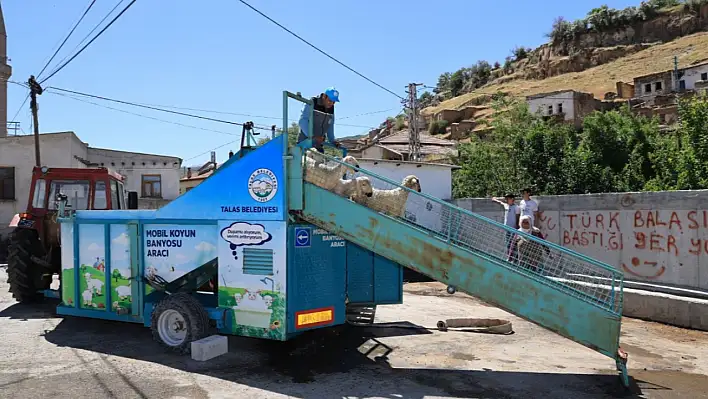Kayseri'de keneye karşı örnek uygulama! Koyunlara özel banyo…