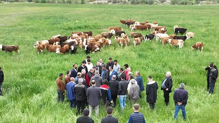 Kayseri'de 'Köyümde Hayat Var Projesi' Hayata Geçti!