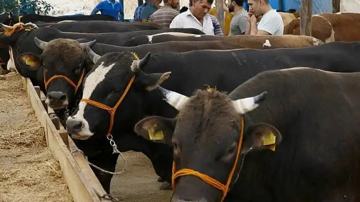 Kayseri'de Kurban Bayramı'nda Bu Kurallara Uymayanlara Ceza Kesilecek