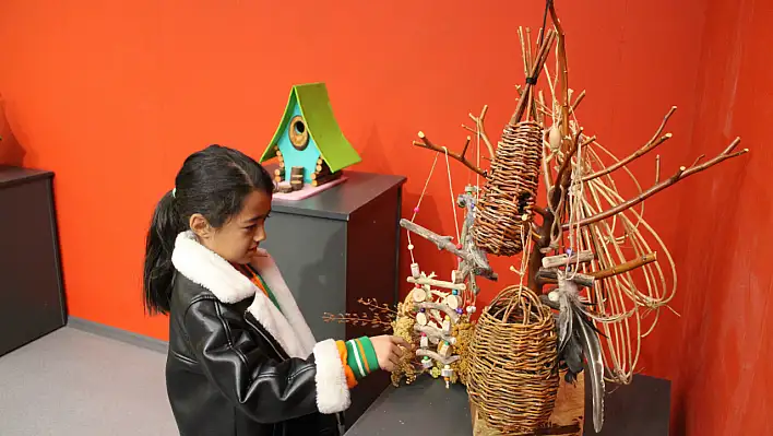 Kayseri'de kuş evi sergisi açıldı!