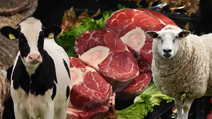 Kayseri'de kuzu etine büyük zam! Dana etinde sürpriz indirim