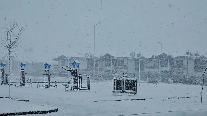 Kayseri'de lapa lapa kar yağıyor!