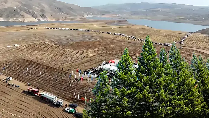 Kayseri'de ne oluyor? dedirten proje: Yeşil dönüşüm başladı!