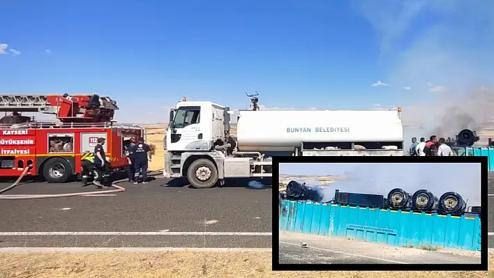 Kayseri'de ölü domuz faciaya neden oluyordu!