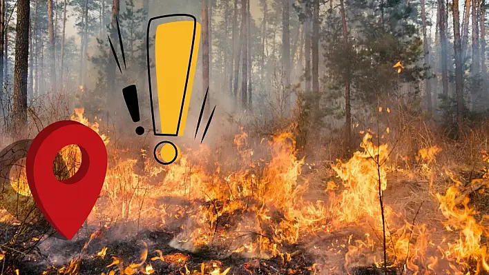 Kayseri'de Orman yangınlarına dikkat – Yeni kapı aralanmasın: Orası için uyarı geldi!