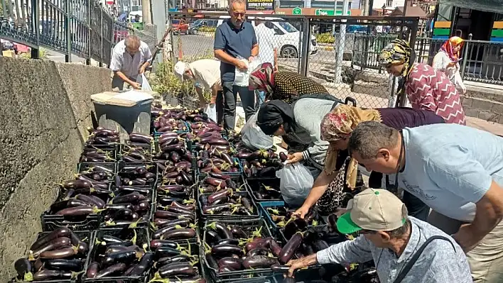 Kayseri'de patlıcan krizi – Bulunamıyor!