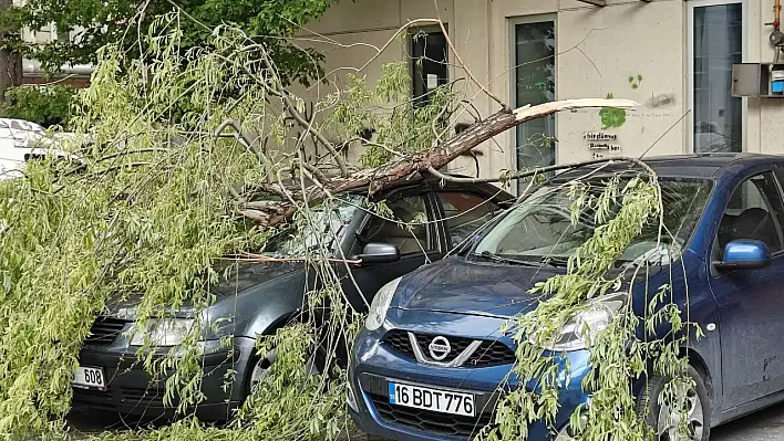 Kayseri'de rüzgardan kırılan ağaç otomobillerin üzerine düştü!