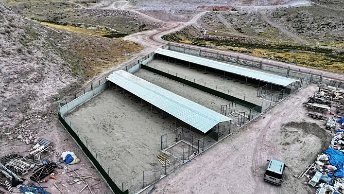 Kayseri'de sokak hayvanları için 25 bin metrekarelik yaşam alanı