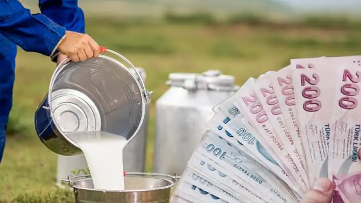 Kayseri'de süt alarmı! Zam ekimde başlıyor, üretici de tüketici de çaresiz