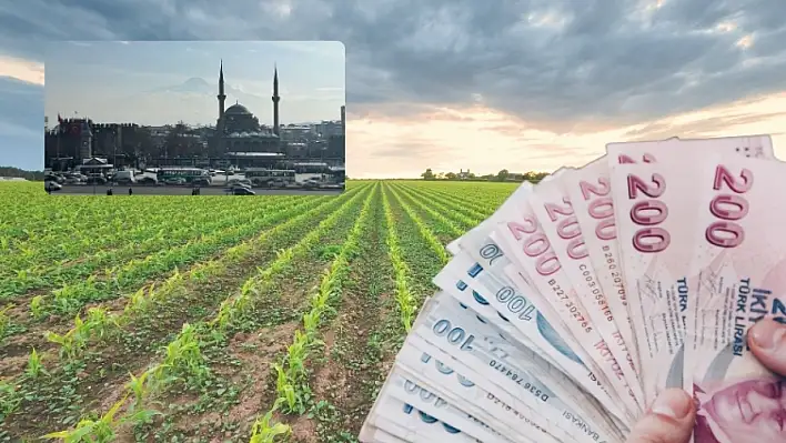 Kayseri'de tarım alanında önemli çağrı: Kimleri ilgilendiriyor?