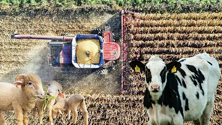 Kayseri'de tarıma milyonluk nefes: Destekler hesaplara yattı!