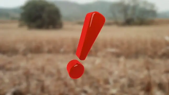 Kayseri'de tarımsal kriz büyüyor: Tarlalar susuzluktan kuruyor