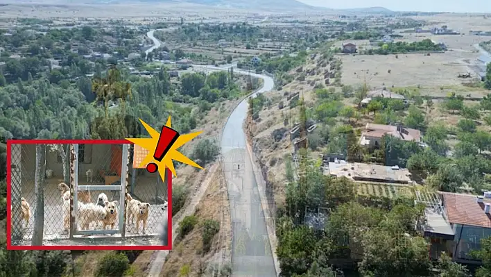 Kayseri'de tartışmalar sürüyor – Köy muhtarı iddialara yanıt verdi!