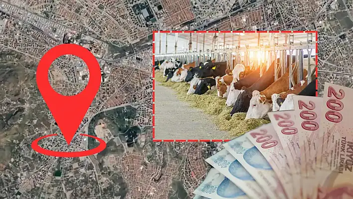 Kayseri'de üreticilerin hesaplarına milyonlarca lira aktarılacak!