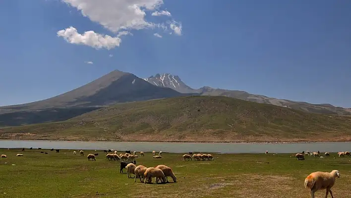 Kayseri'de yayla havası almak istiyorum diyenler… Acil buraya bakın - Bu haber sizin için!