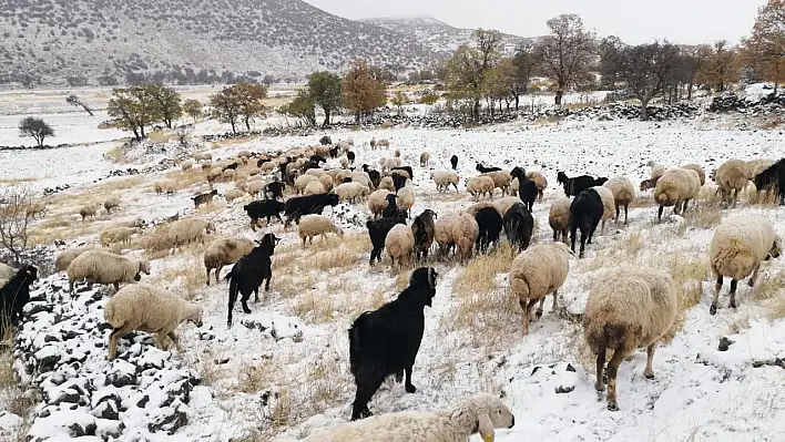 Kayseri'de yaylacılar geri döndü...