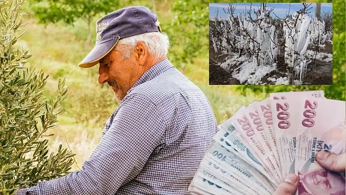 Kayseri'de yevmiye krizi! Don bahane ucuz işçi şahane...