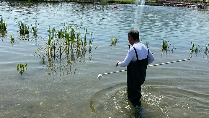 Kayseri'de yoğun ilaçlama çalışmaları başladı