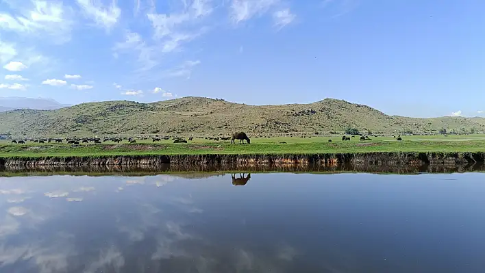 Kayseri'deki bu bölge bakanlık tarafından korunuyor!