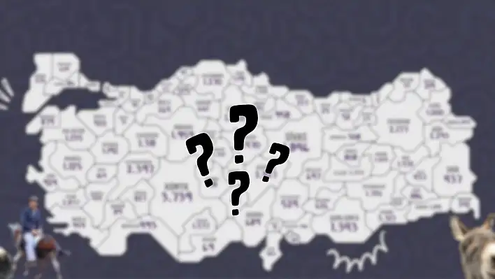 Kayseri'deki eşek sayısı ortaya çıktı!