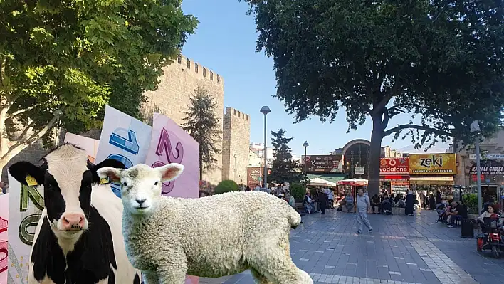 Kayseri et piyasasında 5 TL'lik dalgalanma!