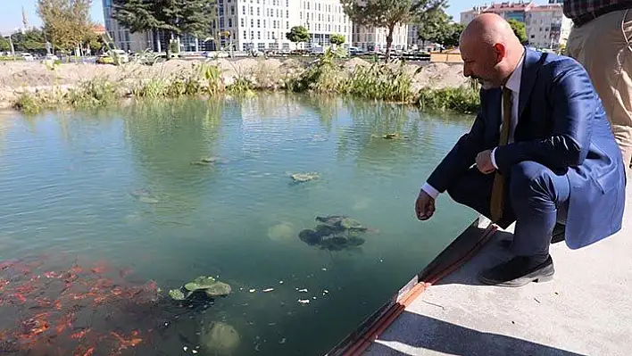 Biyolojik göletli yaşam alanı Türkiye'ye örnek oluyor