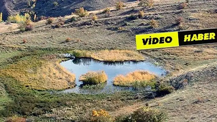 Tabiat harikası keşfedilmeden yok oluyor