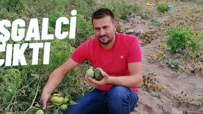 'Mağdurum' dedi 'işgalci' çıktı