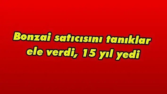 Bonzai satıcısını tanıklar ele verdi, 15 yıl yedi