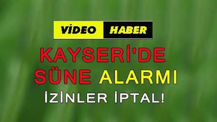 KAYSERİ  'DE SÜNE ALARMI İZİNLER İPTAL!