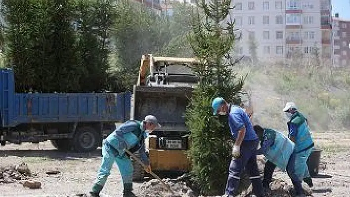 Kocasinan'da fidanlar toprakla buluşuyor