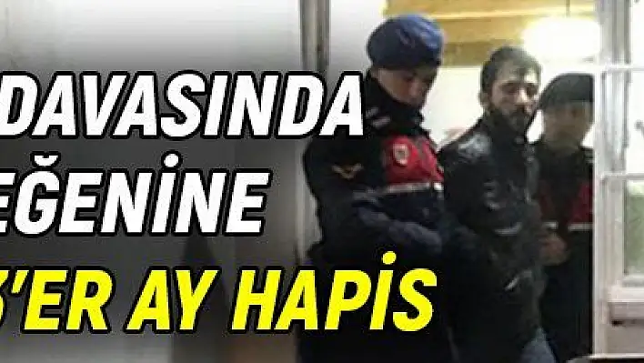 El-Nusra davasında dayı ile yeğenine 6'şar yıl 3'er ay hapis