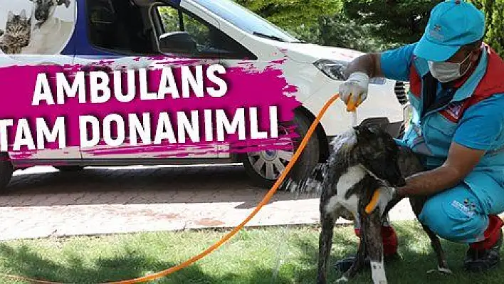 KÜÇÜK DOSTLAR AMBULANSI 4 BİNDEN FAZLA CAN KURTARDI