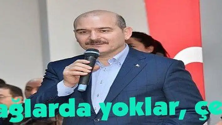 Soylu: 'Dağlarda yoklar, çekilmişler'