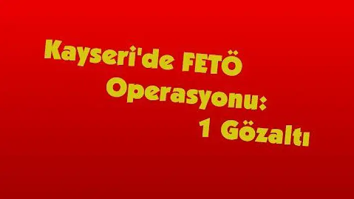 Kayseri'de FETÖ Operasyonu: 1 Gözaltı