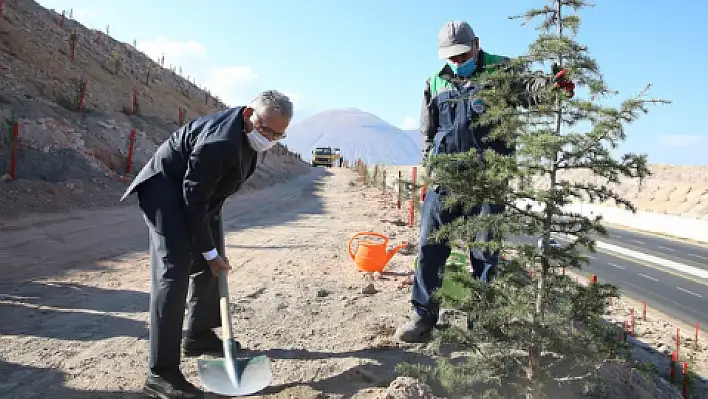 Kayseri Büyükşehir Belediyesi'nden yeşile katkı 