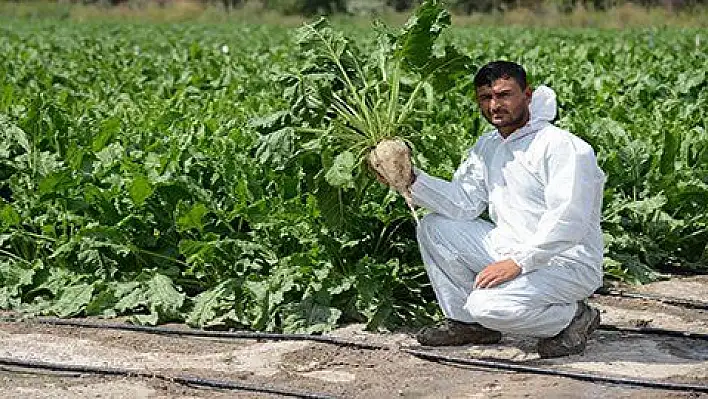 Kayseri Şeker akıllı damla sulama dönemine geçiyor 