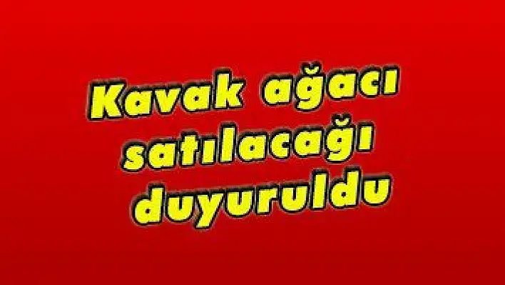 Kavak ağacı satılacağı duyuruldu