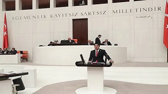 Özdemir: Vatan ne Türkiye 'dir Türklere ne Türkistan / Vatan, büyük ve müebbet bir ülkedir Turan