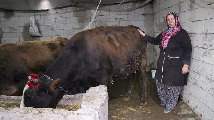 40 yaşında  'mikrokredi ' ile çiftlik kurdu